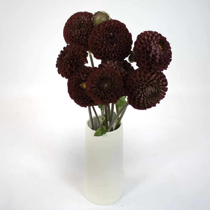 Red Honeycomb Dahlia Flower Bunch in Vase