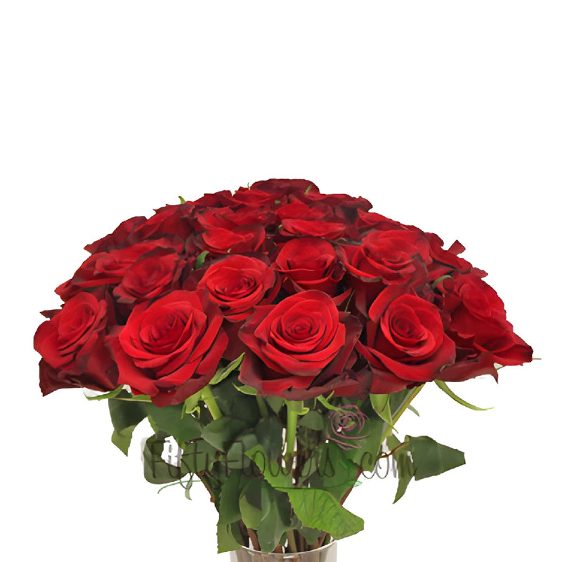 Red Paris Wholesale Rose Bunch