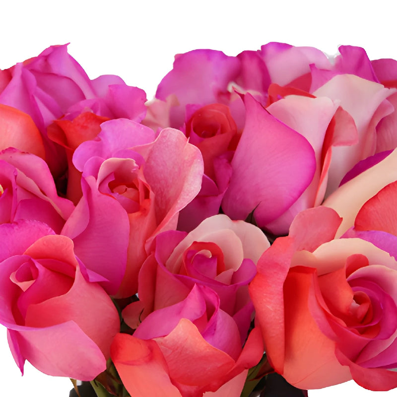 Confetti Hearts Rainbow Roses