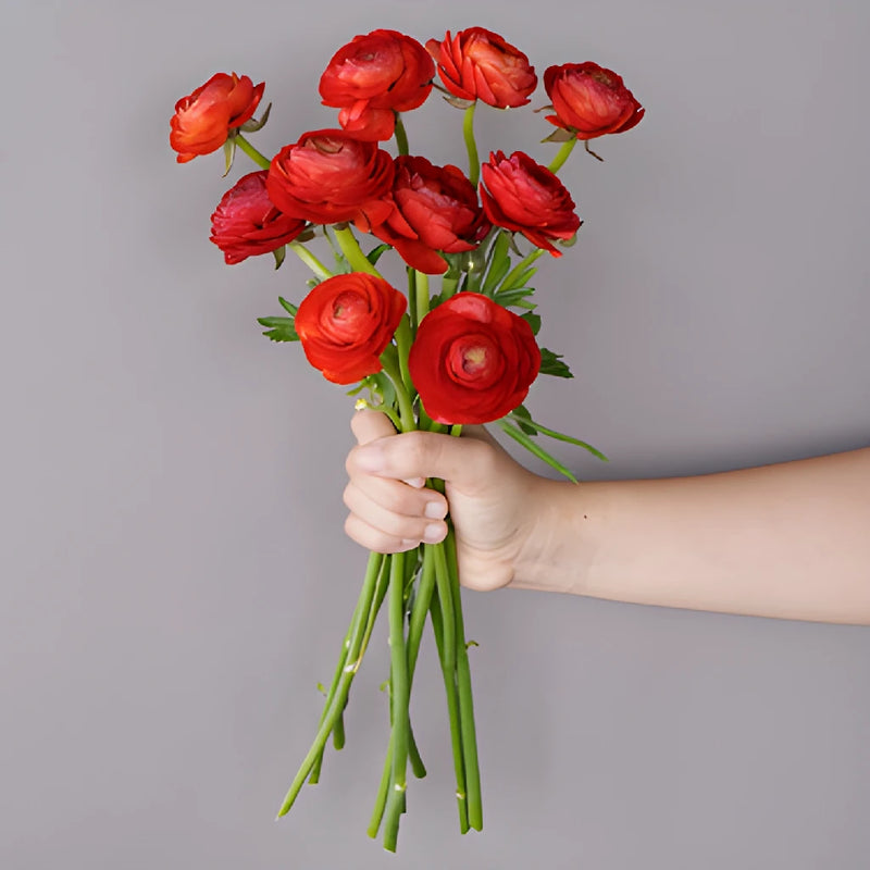 Save The Ranunculus Growers DIY Flower Kit