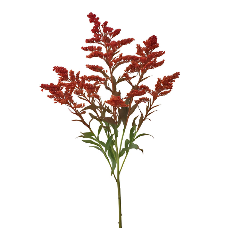 Enhanced Red Estelle Solidago Filler Flowers