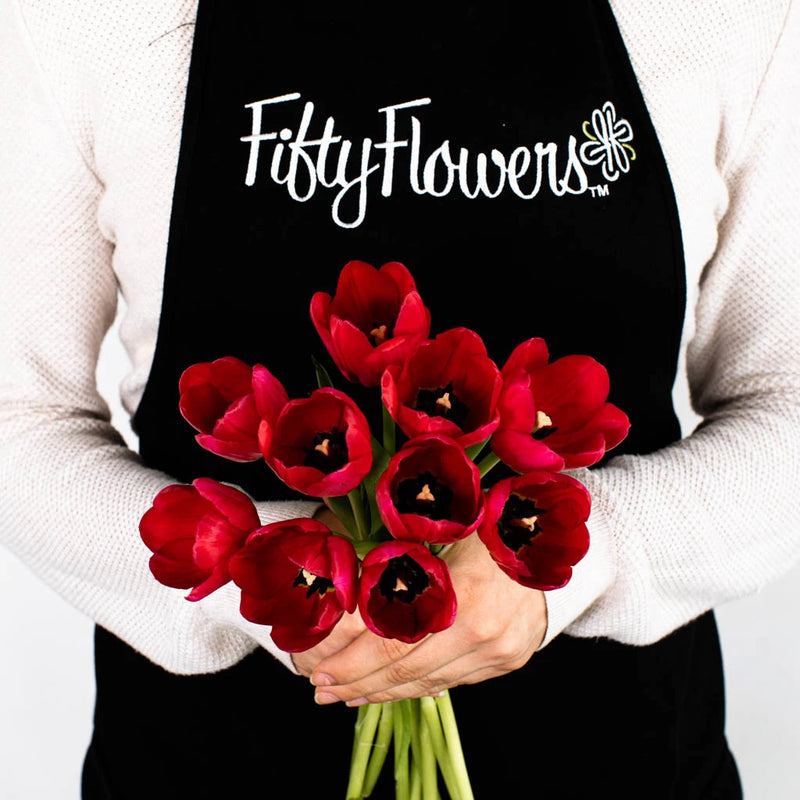 Red Tulip Flower Bunch in Hand