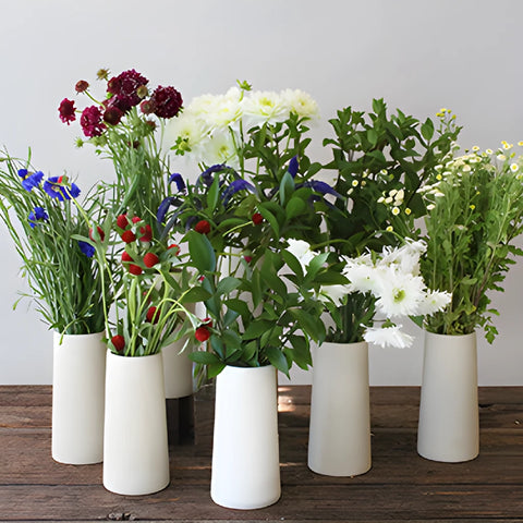 Red and Blue Wildflowers DIY Flower Kit