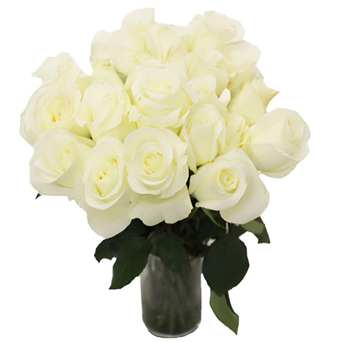 Akito White Bulk Rose