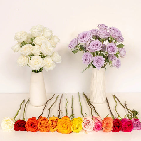 Roses For Mother's Day Close Up - Image