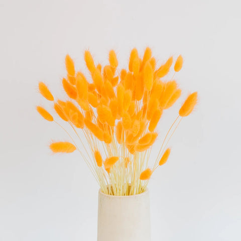 Rustic Orange Dried Bunny Tails Vase - Image