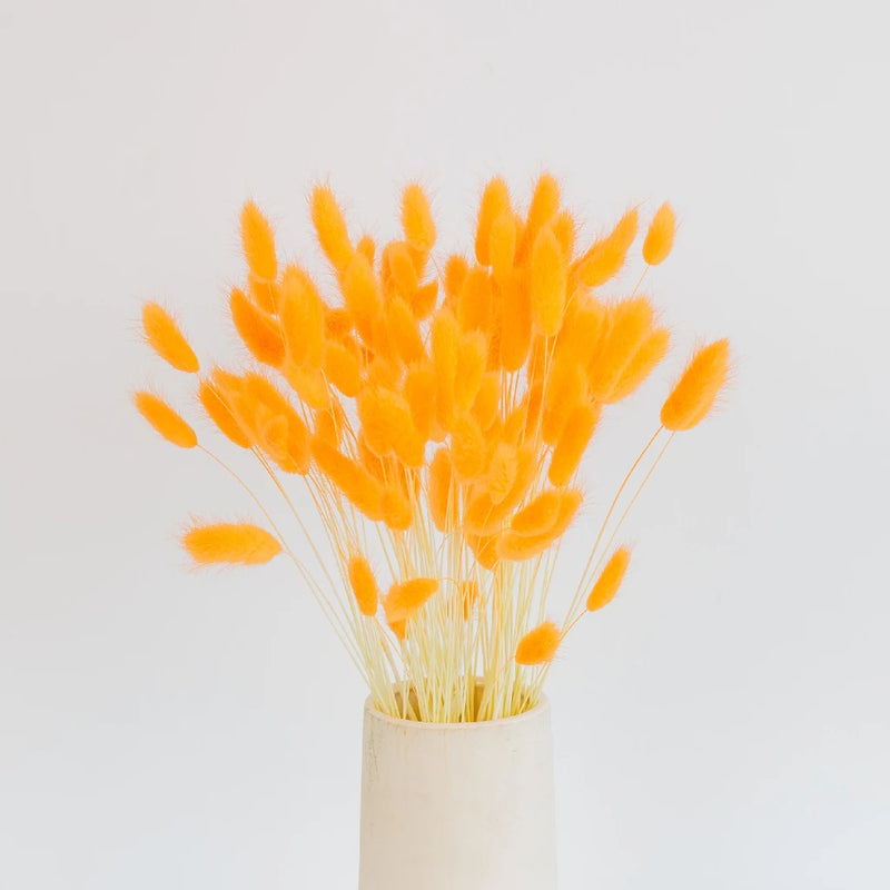 Rustic Orange Dried Bunny Tails Vase - Image