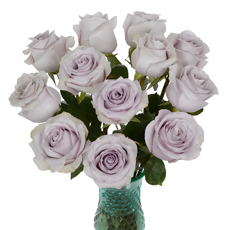 Whispers of Lavender Rose