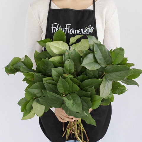 Salal Lemon Leaf Greenery Apron - Image