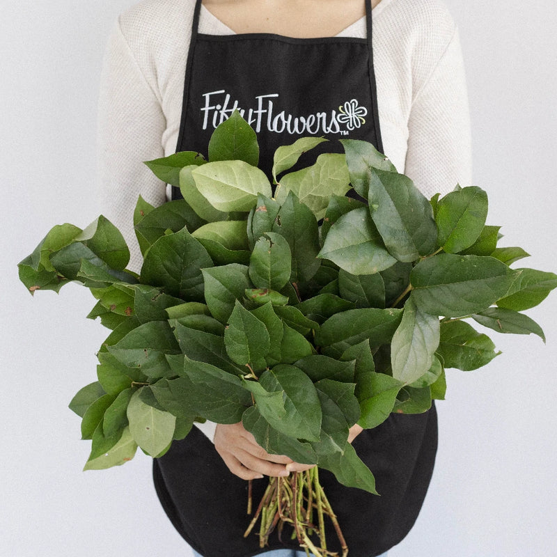Salal Lemon Leaf Greenery Apron - Image