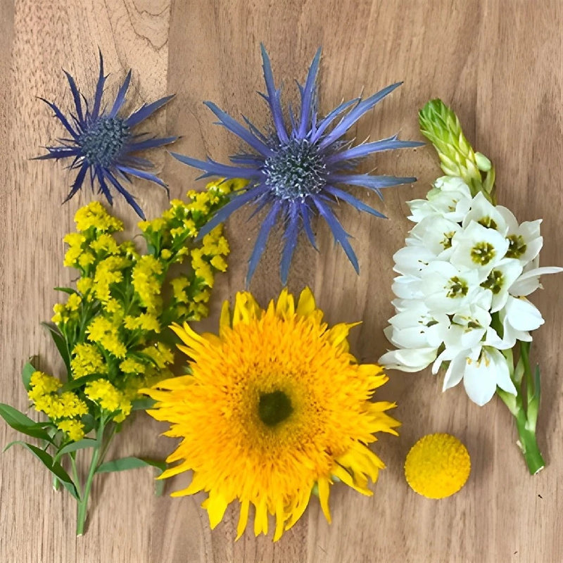 Save The Sunflowers Combo Box Close Up - Image