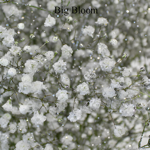 Silver Glitter Baby's Breath Flower