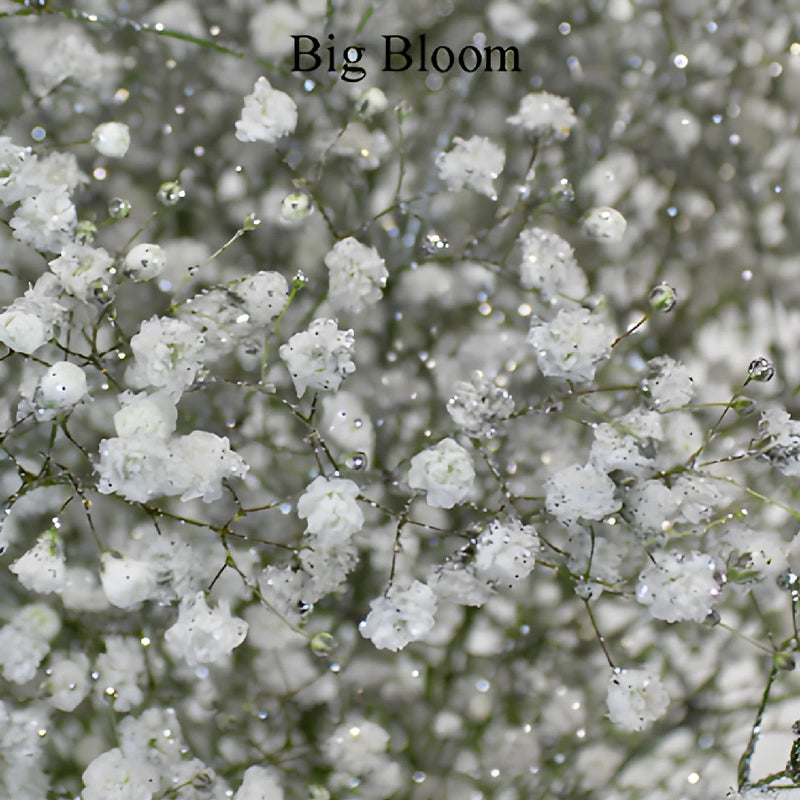 Silver Glitter Baby's Breath Flower
