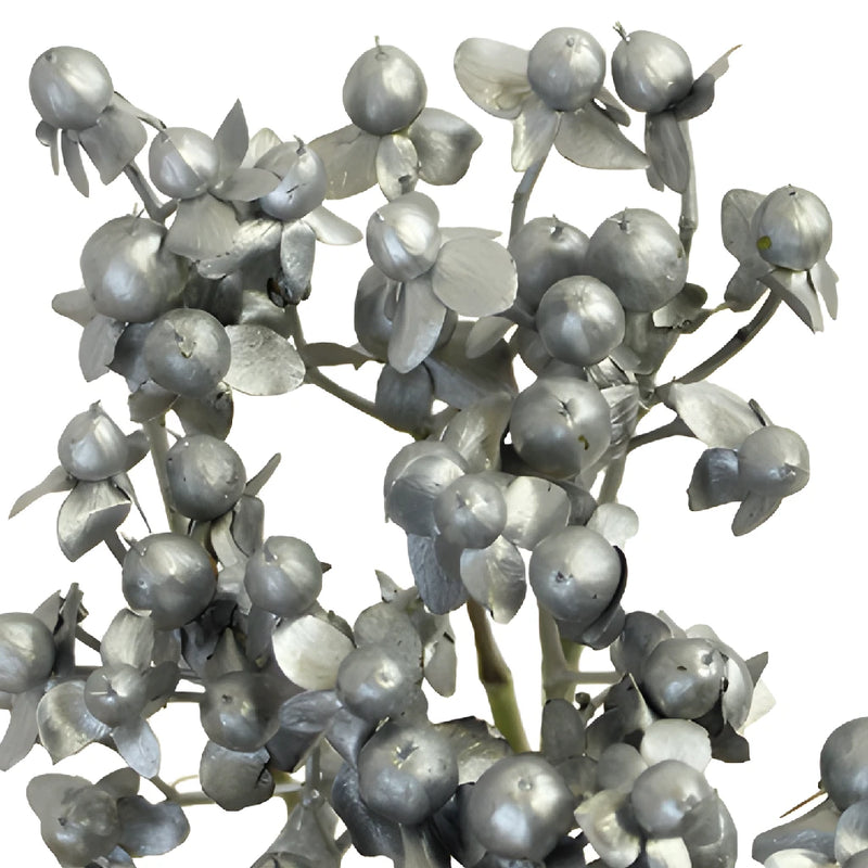 Silver and Gold Mixed Hypericum Berries