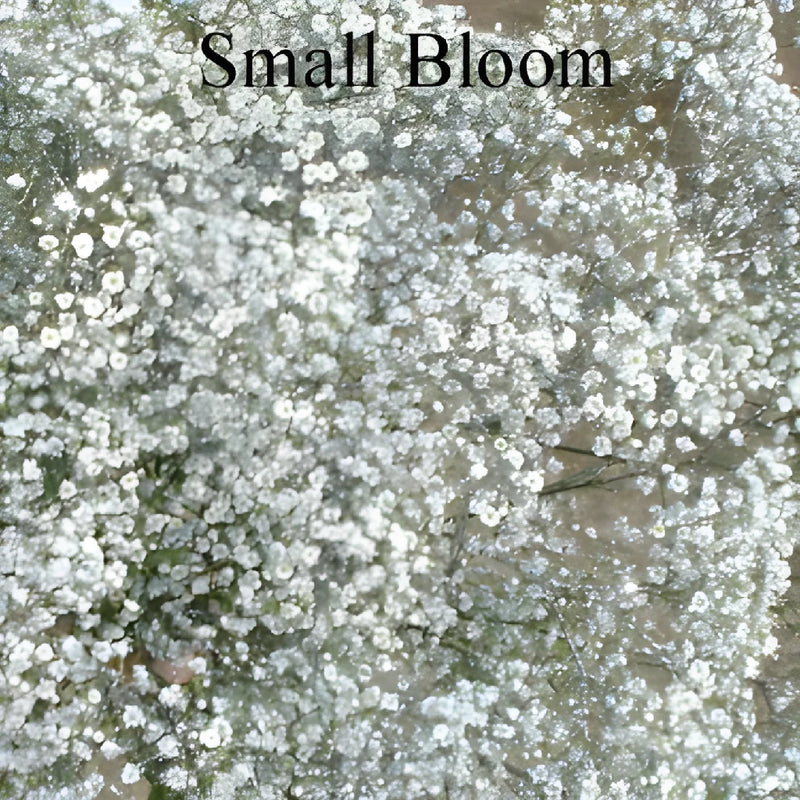 Silver Glitter Baby's Breath Flower