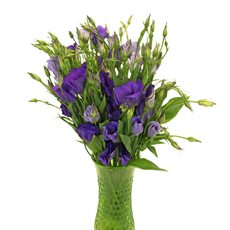 Single Colorado Purple Lisianthus Wholesale Flower In a vase