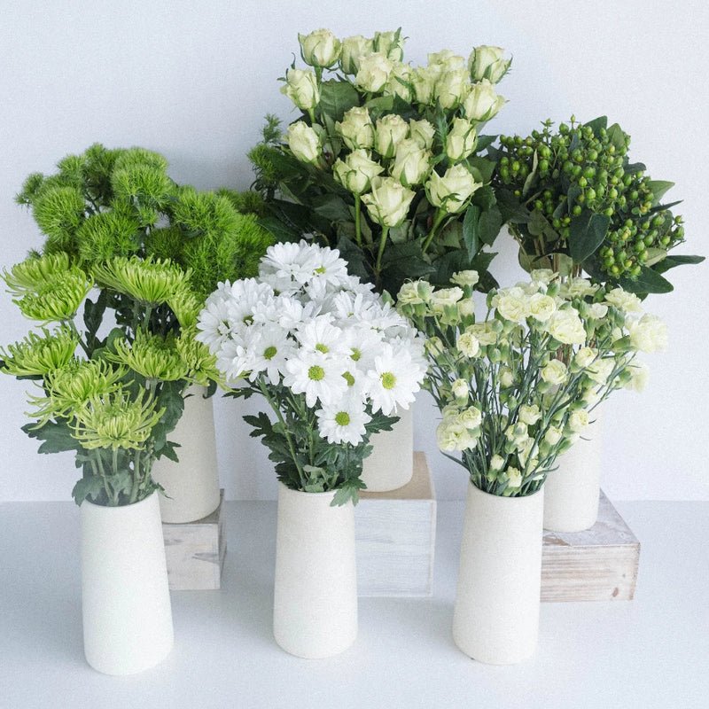 So Fresh So Green Combo Pack Recipe - Image