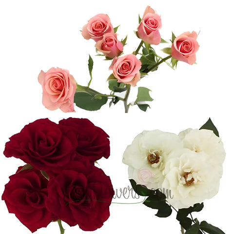 Valentine's Petite Spray Rose Mix