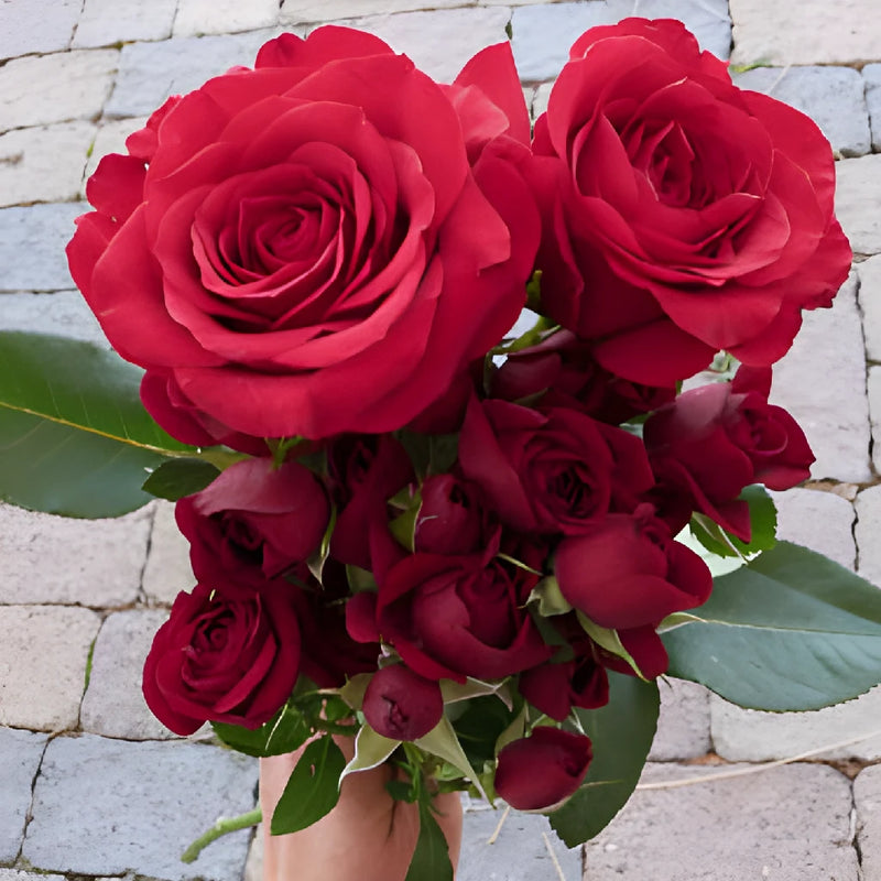 Save The Rose Growers Family DIY Flower Kit