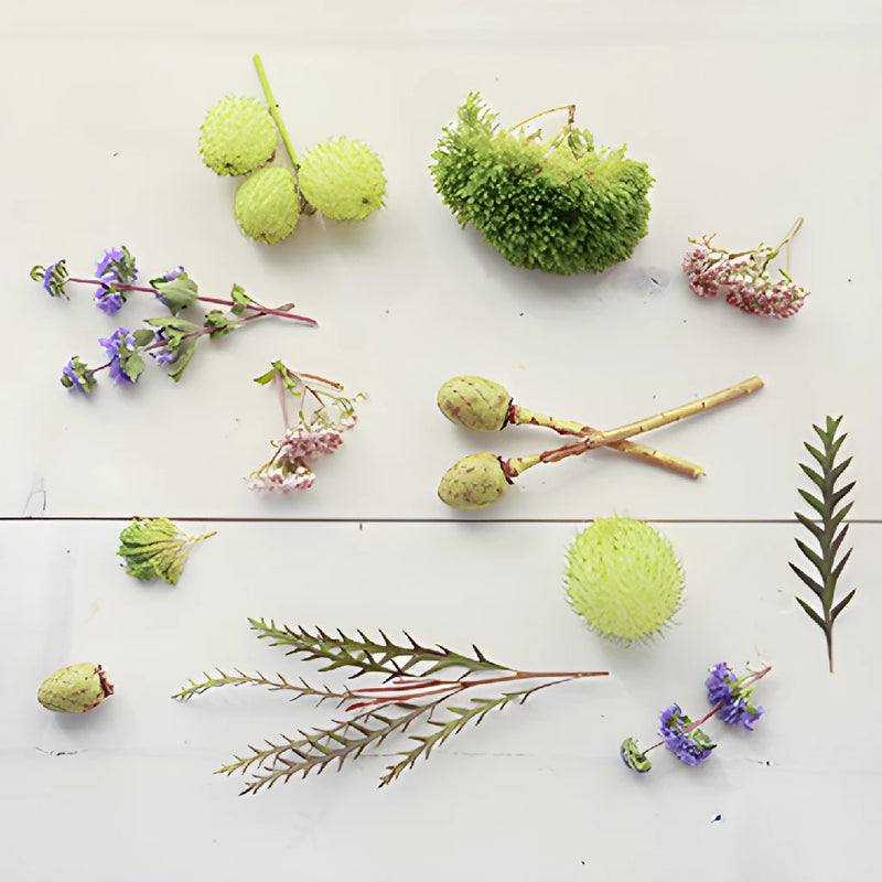 Spring Into Fall DIY Flower Kit Flatlay