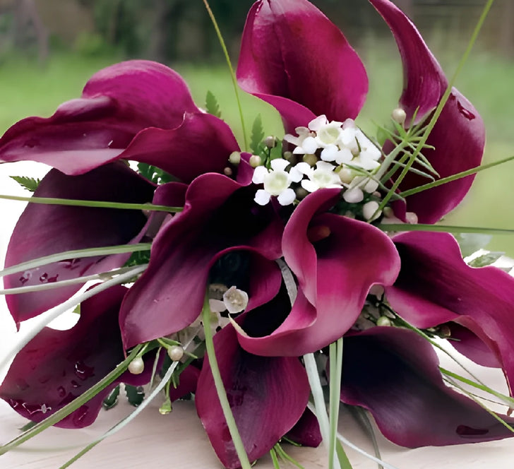 Standard and Mini Calla Lily DIY Flower Kit Bunch