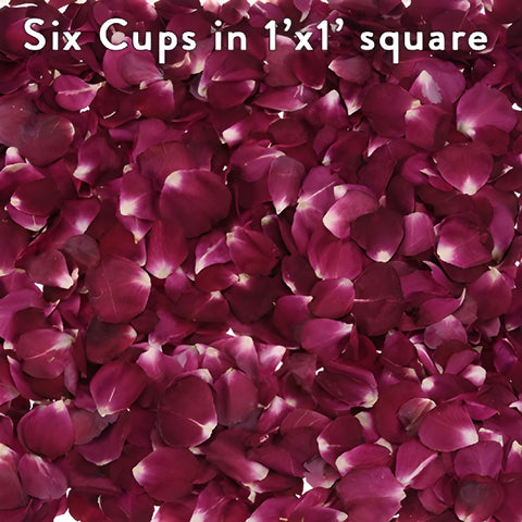 Red Dried Real Rose Petals