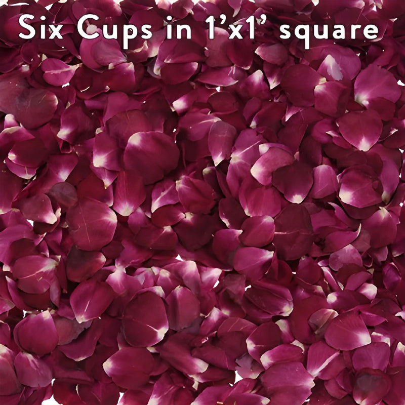 Red Dried Real Rose Petals