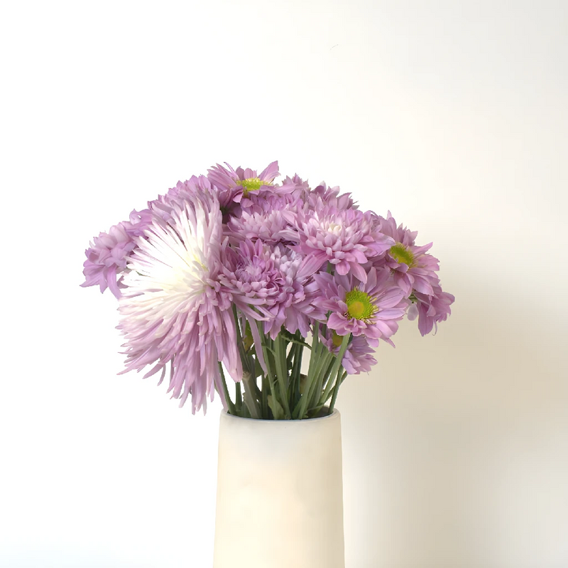 Sugar Plum Fairy Flower Pack Stem - Image