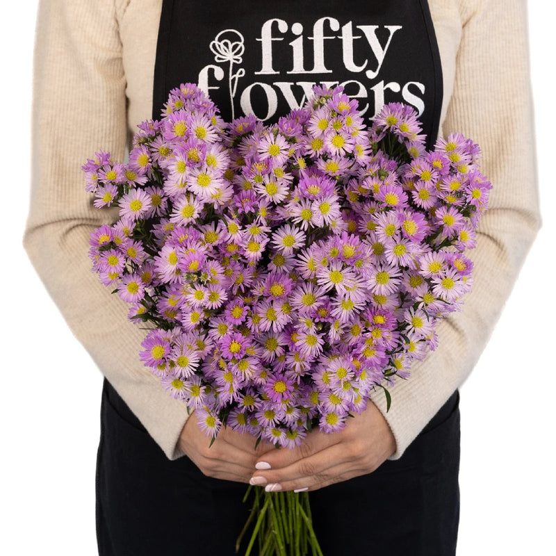 Sugar Plum Pink Spray Aster Apron - Image