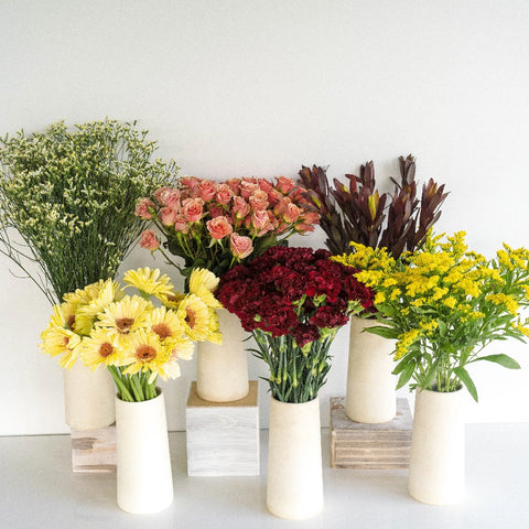 Summer Harvest Combo Pack Recipe - Image