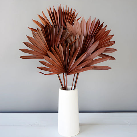 Dried Mocha Sun Palms