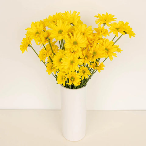 Super Daisy Yellow Flower Vase - Image