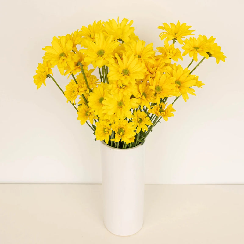 Super Daisy Yellow Flower Vase - Image