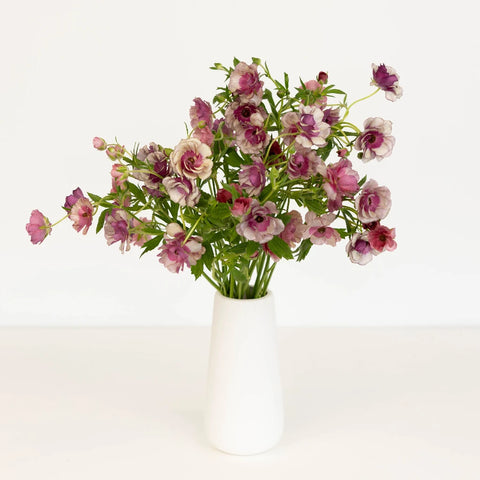 Thiva Vase - Image