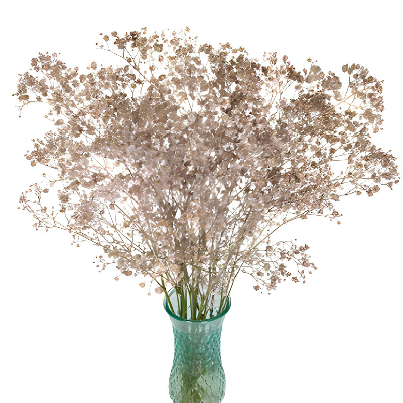 Rose Gold Glittered Baby's Breath Flower