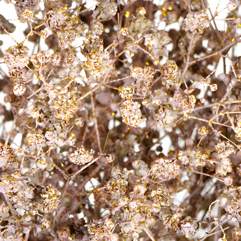 Rose Gold Glittered Baby's Breath Flower
