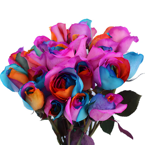 Groovy Rainbow Roses