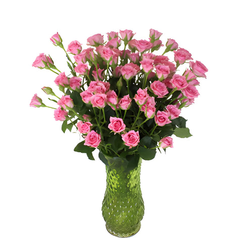 Twinkle Bride Pink Mini Spray Rose
