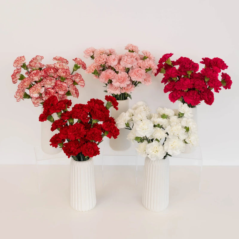 Valentine's Love Pack Assorted Carnation Flower Special Vase - Image