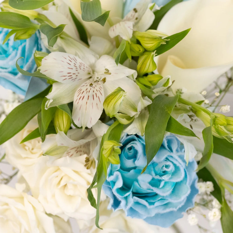 Velvet Blue Fresh Rose Bouquet Bar Close Up - Image