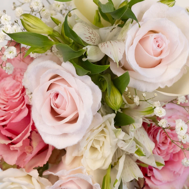 Velvet Pink Fresh Rose Diy Flower Kit Close Up - Image