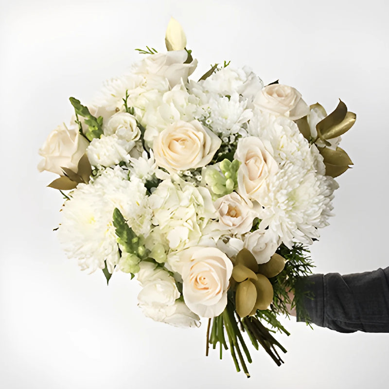 Creamy white rose with golden tinted ruscus