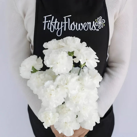 White Fresh Carnations