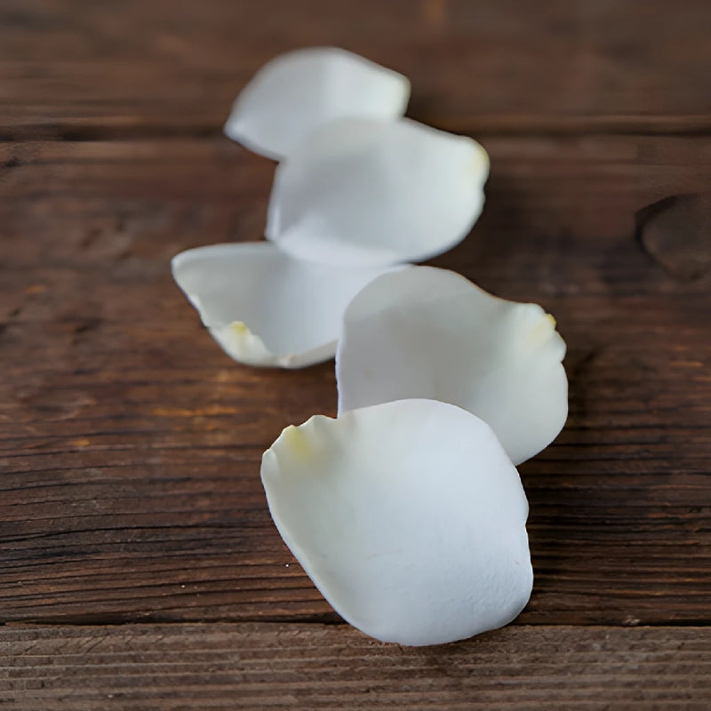 Dried White Garden Rose Pedals