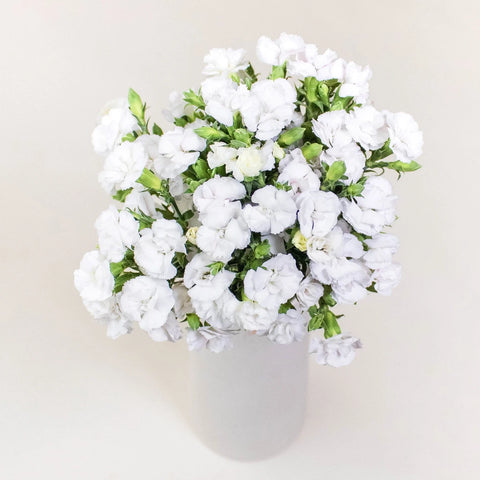 White Lilipot Wholesale Flowers in Vase