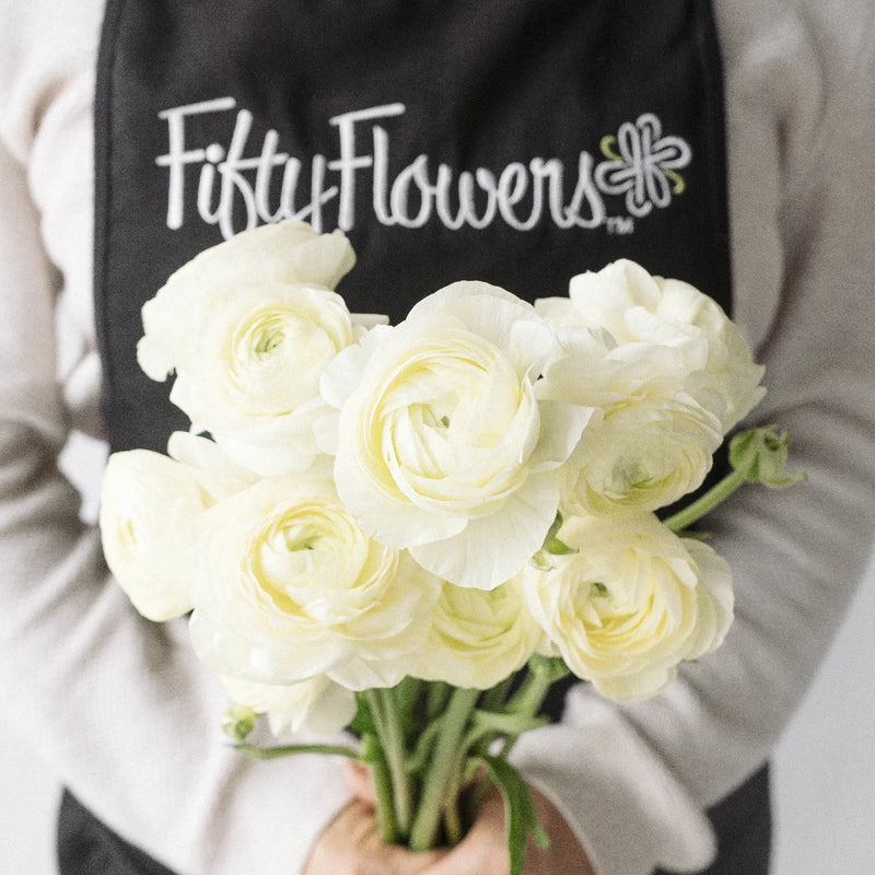 Wholesale Ranunculus Flowers Champagne Apron - Image