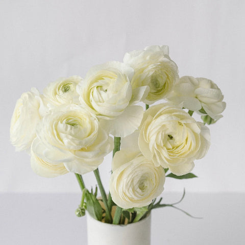 Wholesale Ranunculus Flowers Champagne Vase - Image