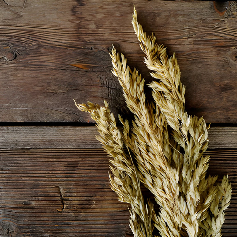 Wild Dried Oats