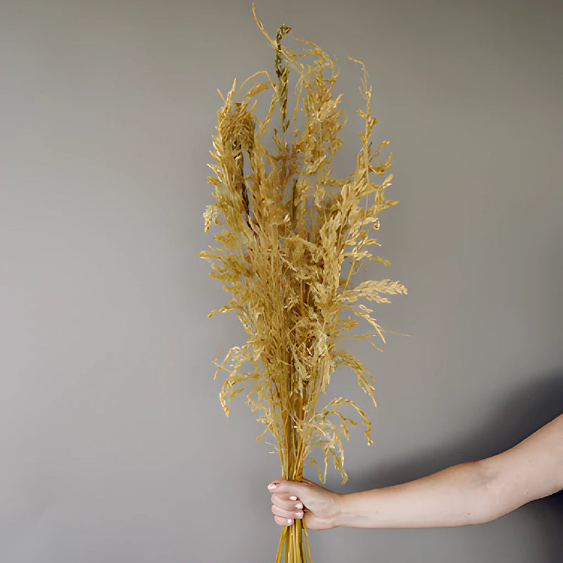 Wild Dried Oats