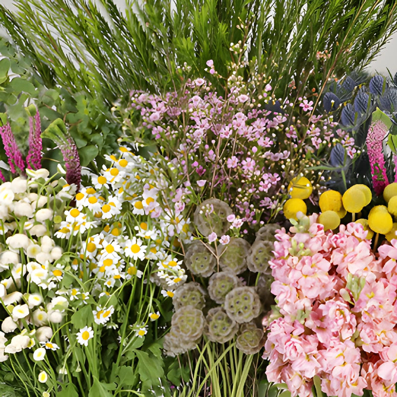 Wildflower Spirit DIY Flower Kit Up Close